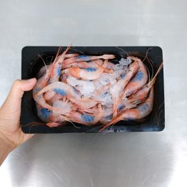 bandeja de quisquillas frescas