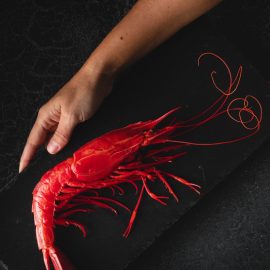 carabineros a domicilio