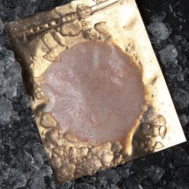 Carpaccio Quisquilla