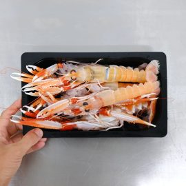 precio cigalas frescas