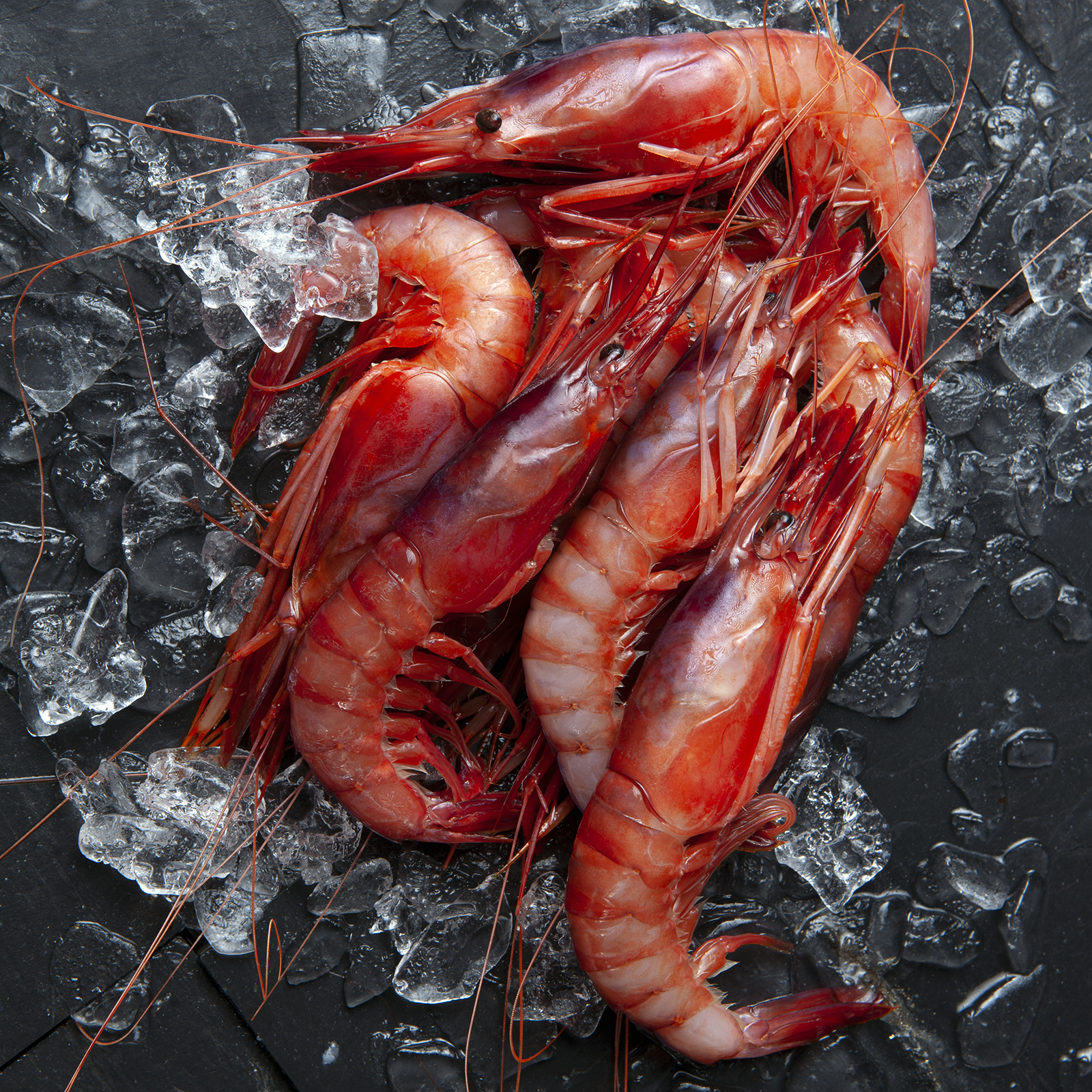 Gamba roja de Dénia