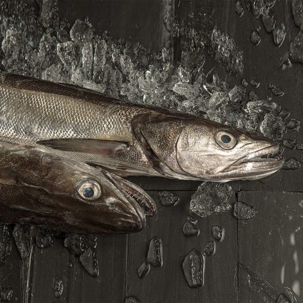 Merluza de pincho