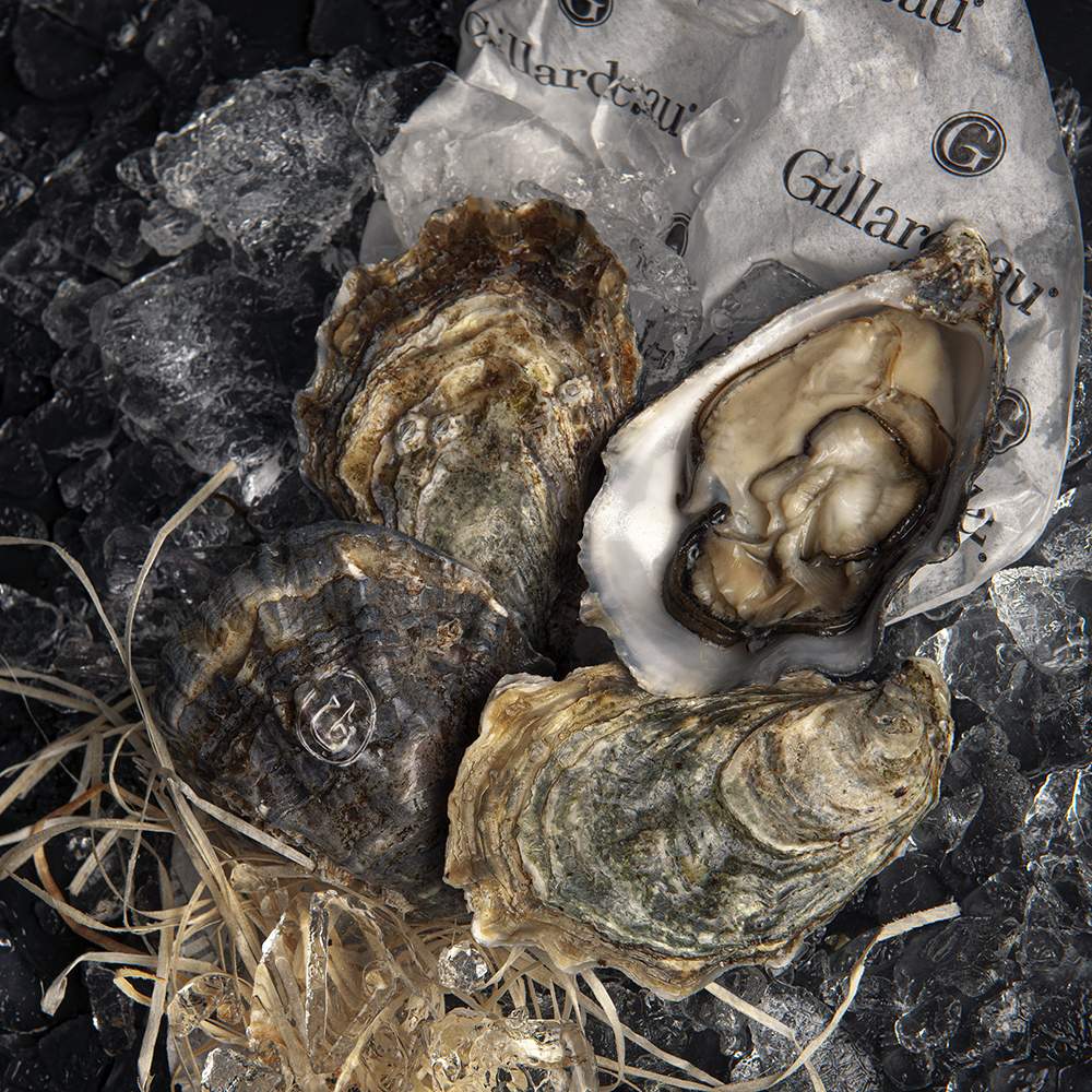 ostras guillardeau