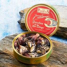percebes en lata