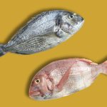 diferencias entre pescado blanco y azul