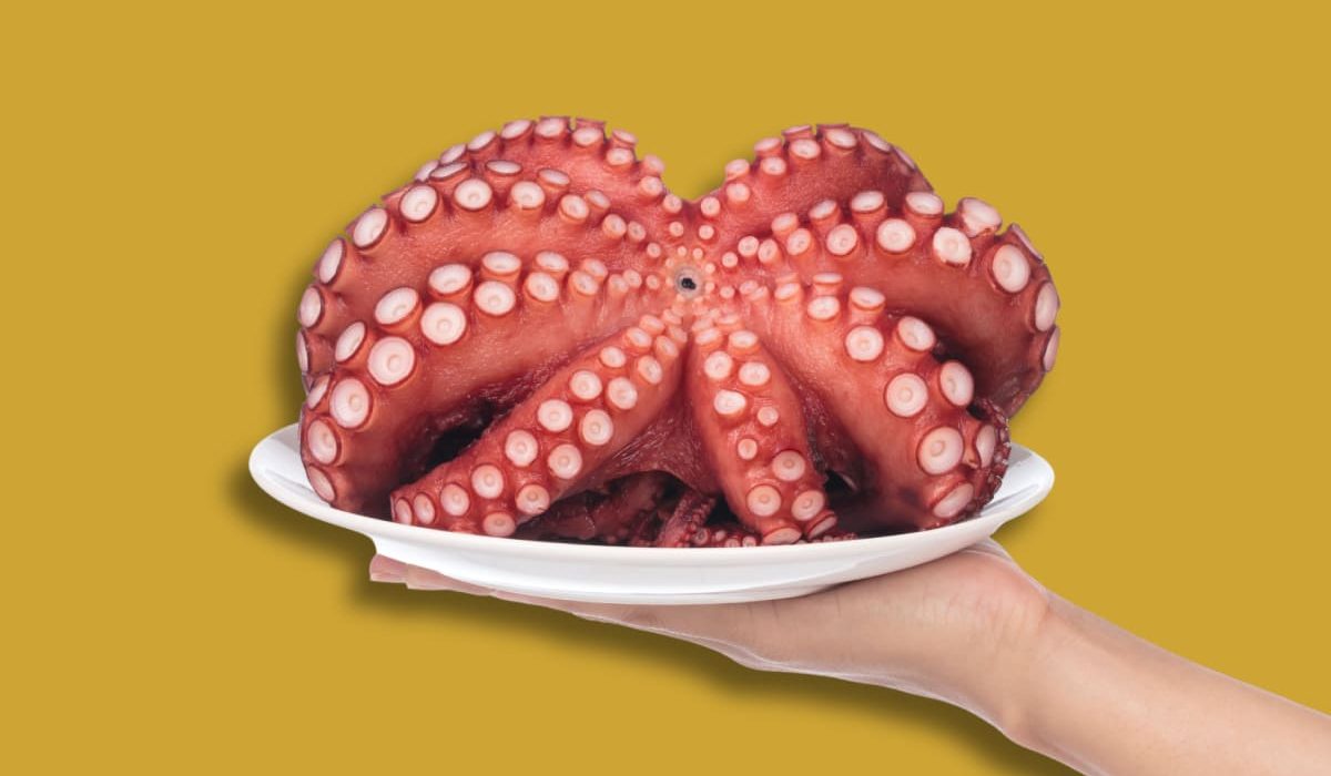 mejores recetas con pulpo