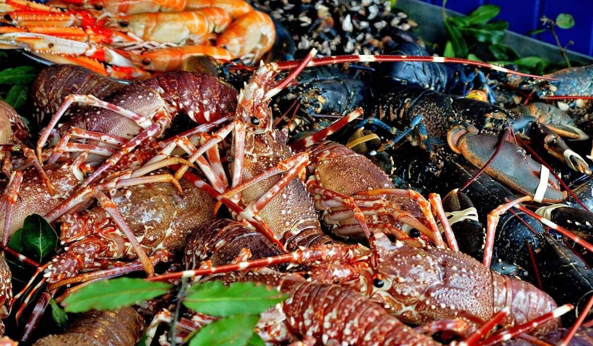 propiedades del marisco