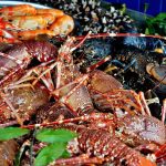 propiedades del marisco