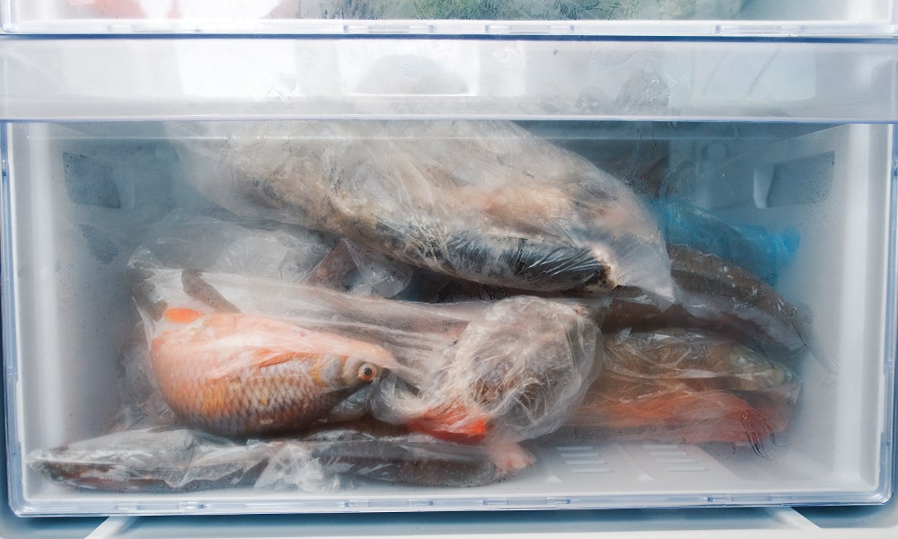 descongelar pescado frigorífico
