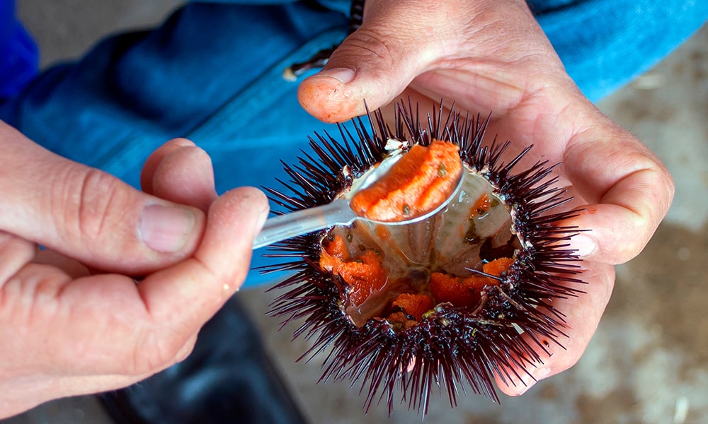 cómo limpiar marisco