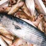 pescados de temporada