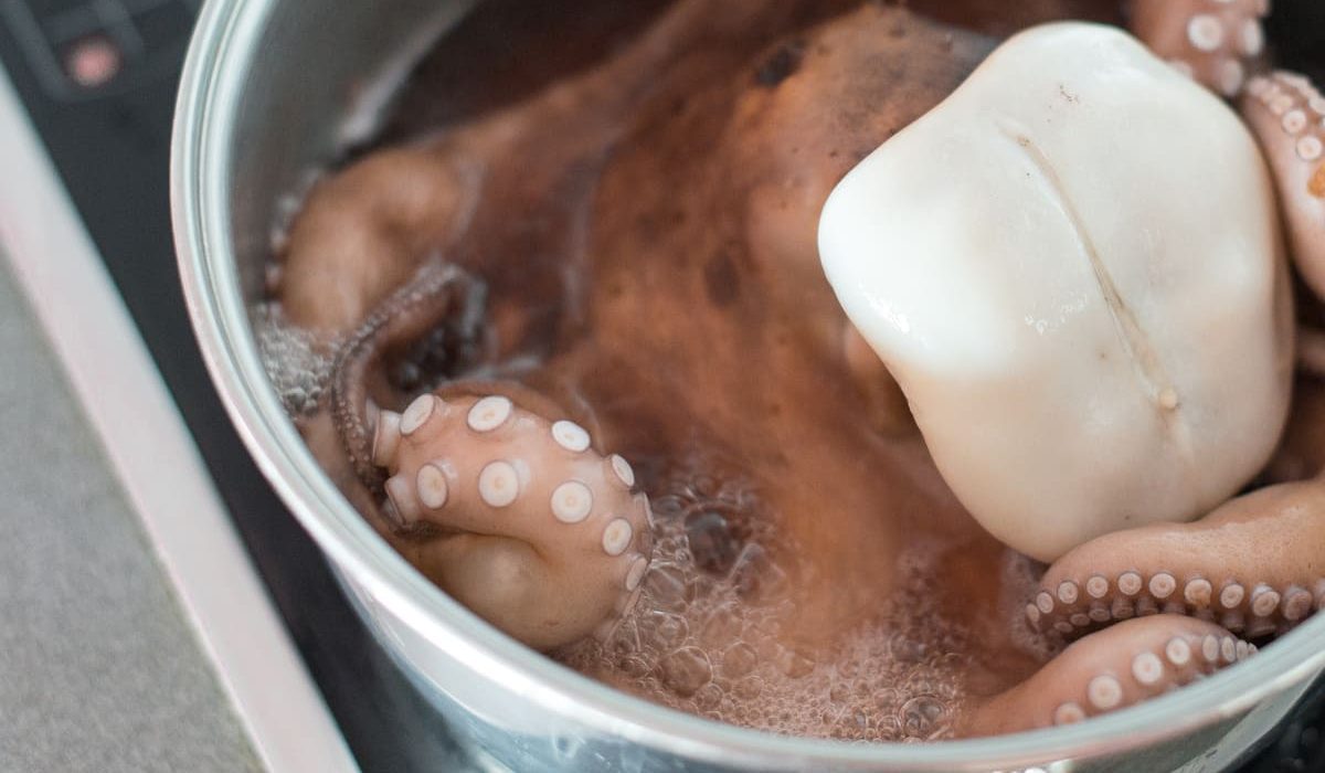 cómo cocer pulpo