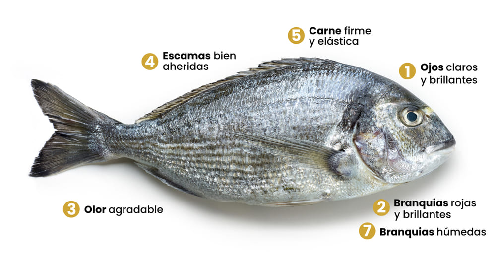 saber si un pescado es fresco