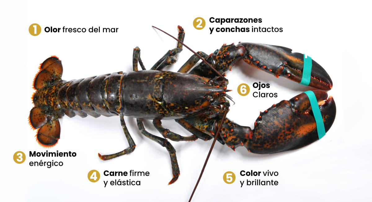 conocer la frescura del marisco