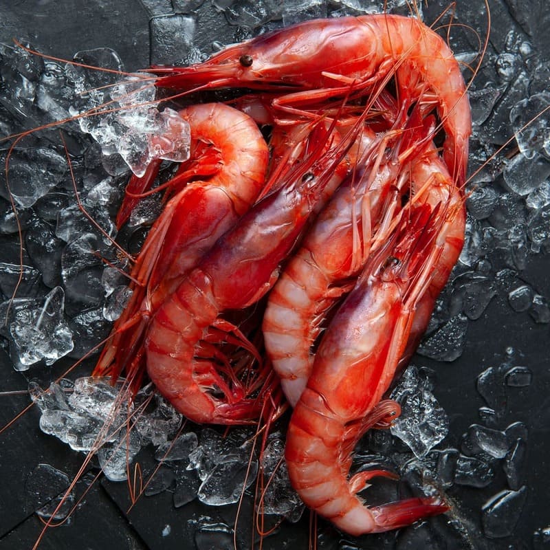 gamba roja de Dénia
