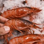 gambas rojas vs gambas blancas