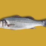 lubina pescado blanco