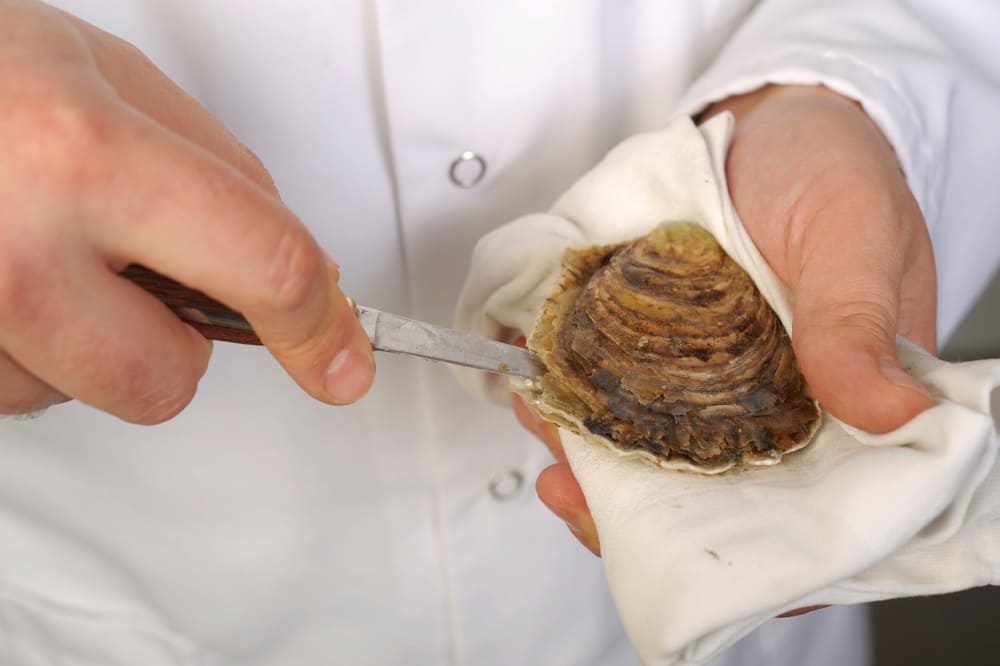 pasos para abrir una ostra