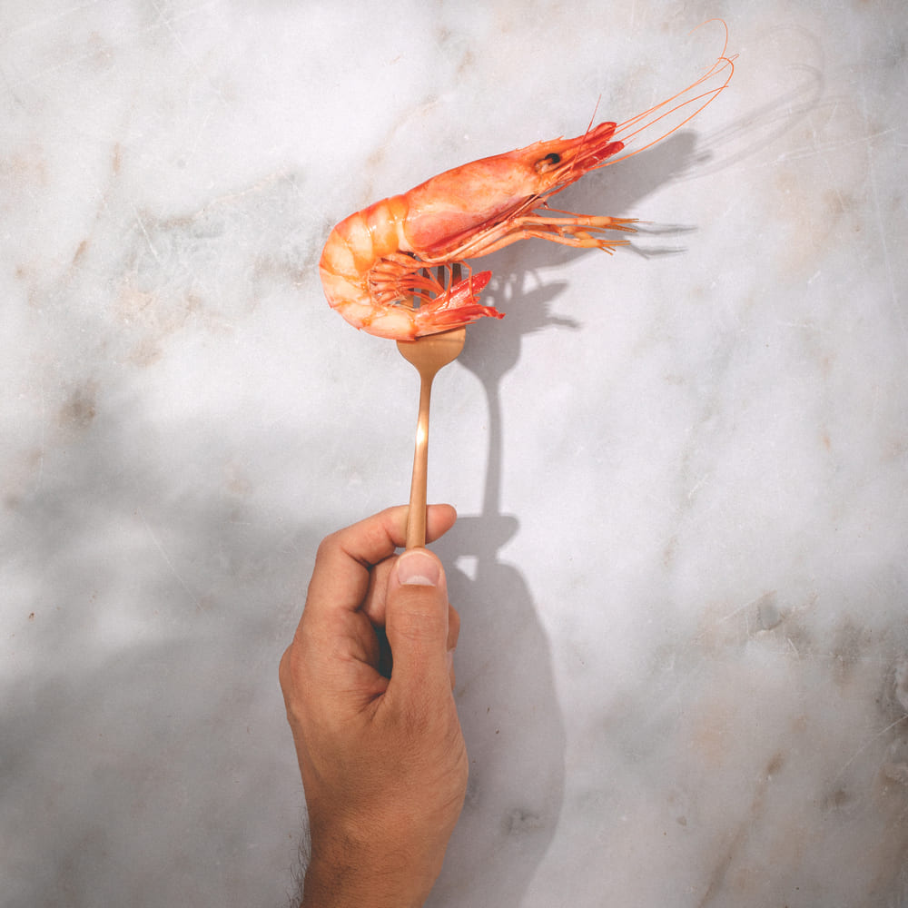 qué gamba roja elegir