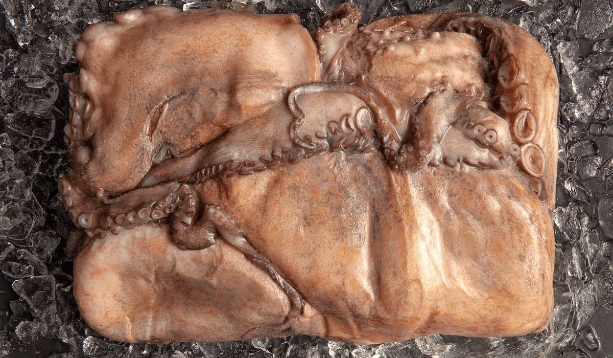 cómo descongelar pulpo