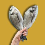 diferencias entre pez y pescado