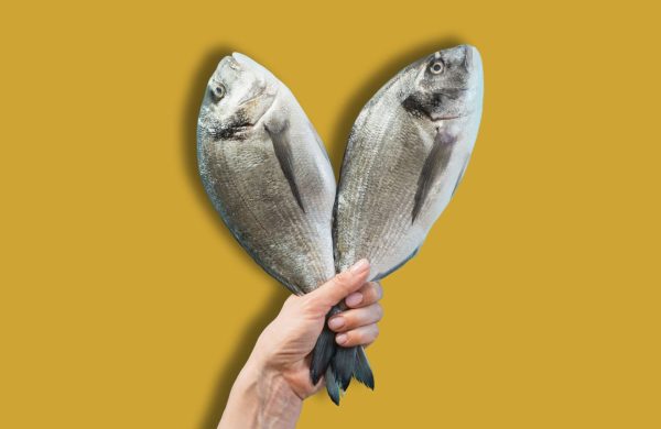 diferencias entre pez y pescado