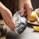 dorada es un pescado blanco