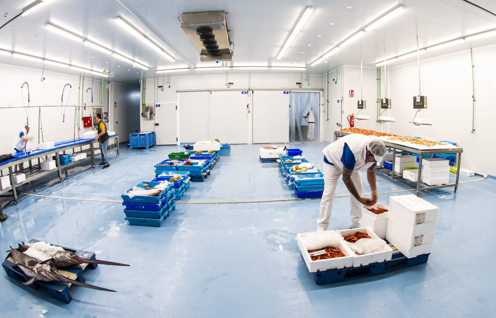 especialistas en pescado y marisco