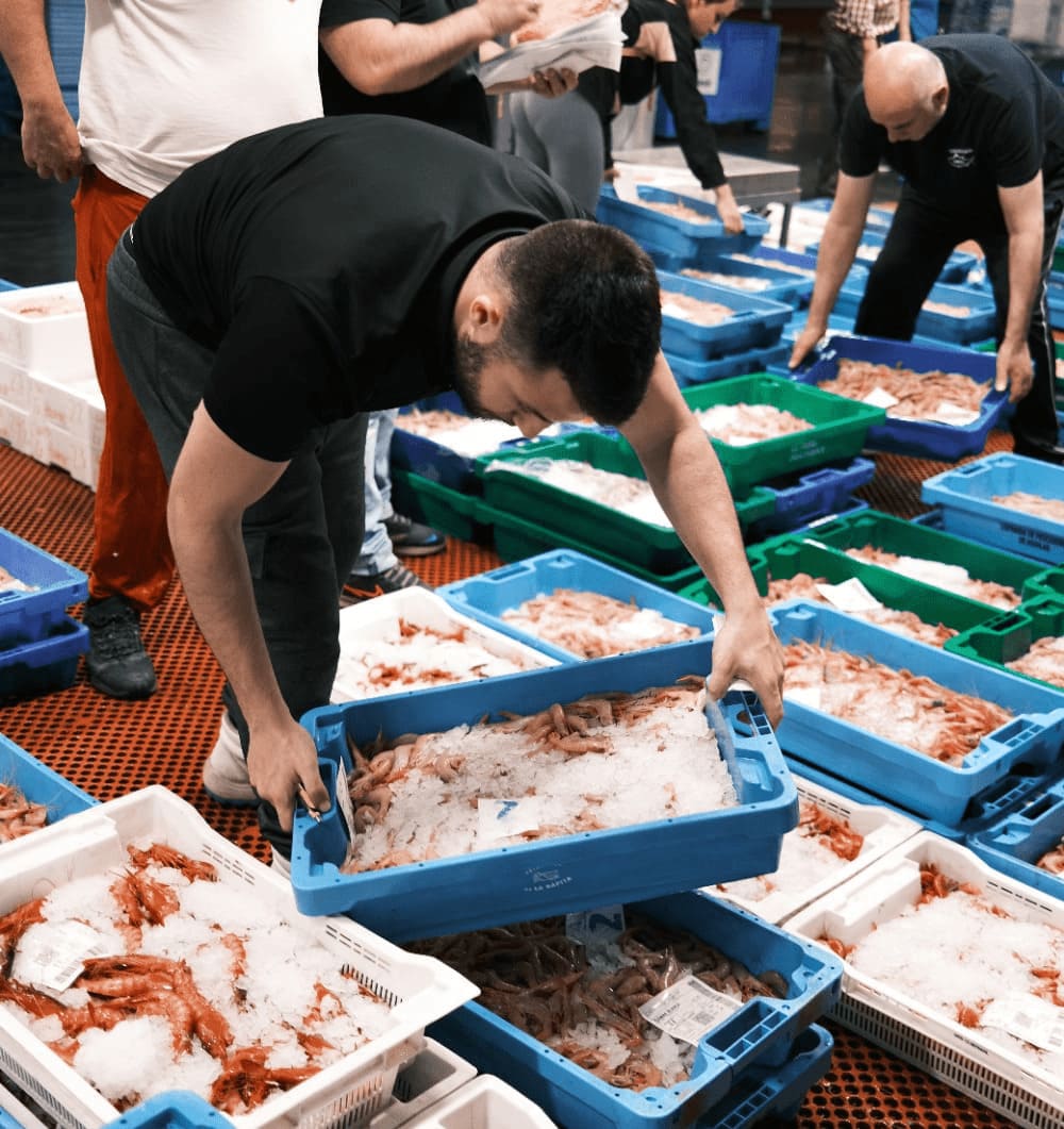 lonja de Alcantarilla