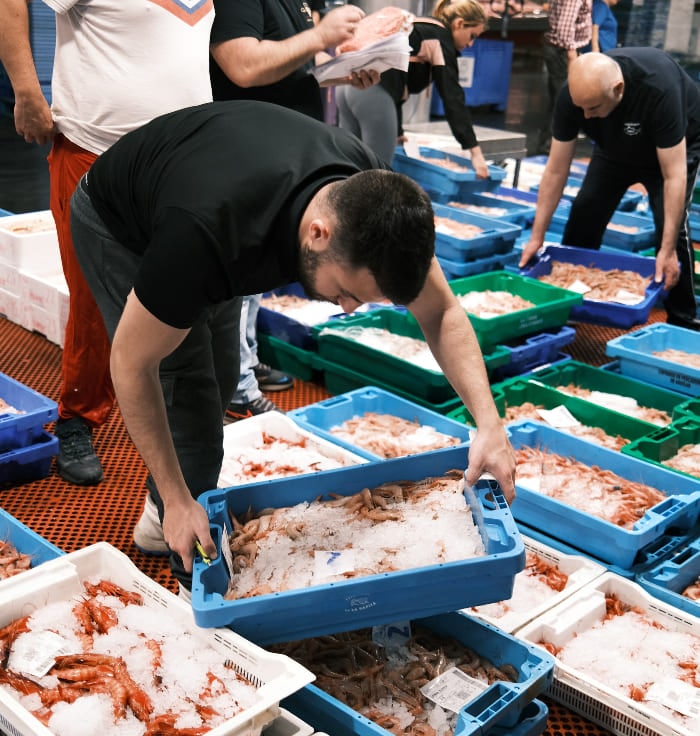 lonja de Alcantarilla