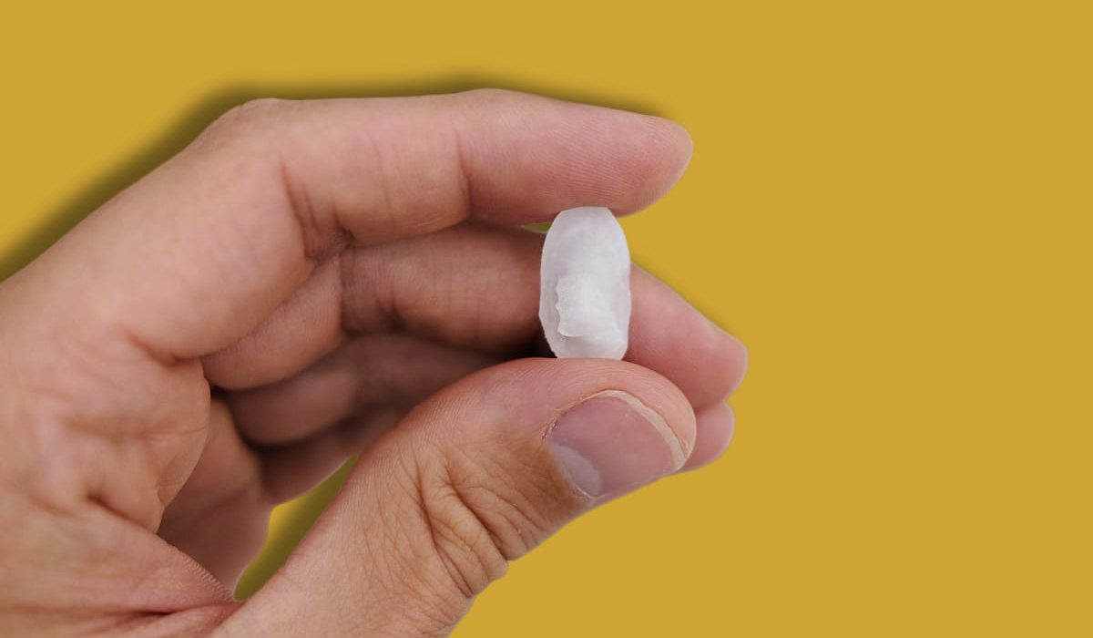 qué son los otolitos