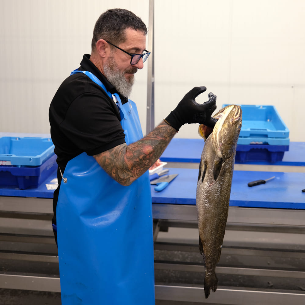 pescadero con corvina