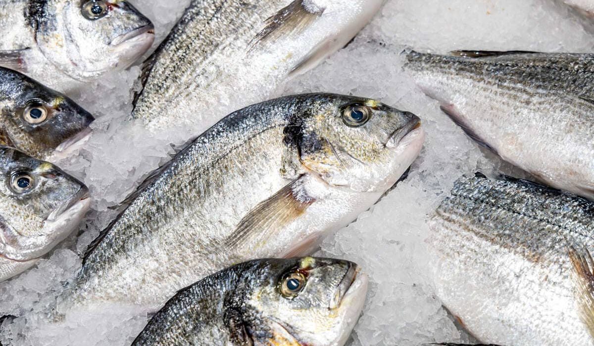 pescados con menos mercurio