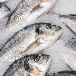 pescados con menos mercurio