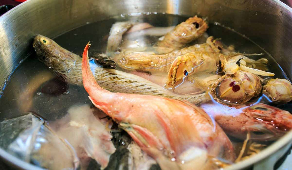 pescados de roca que forman la morralla