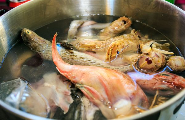 pescados de roca que forman la morralla