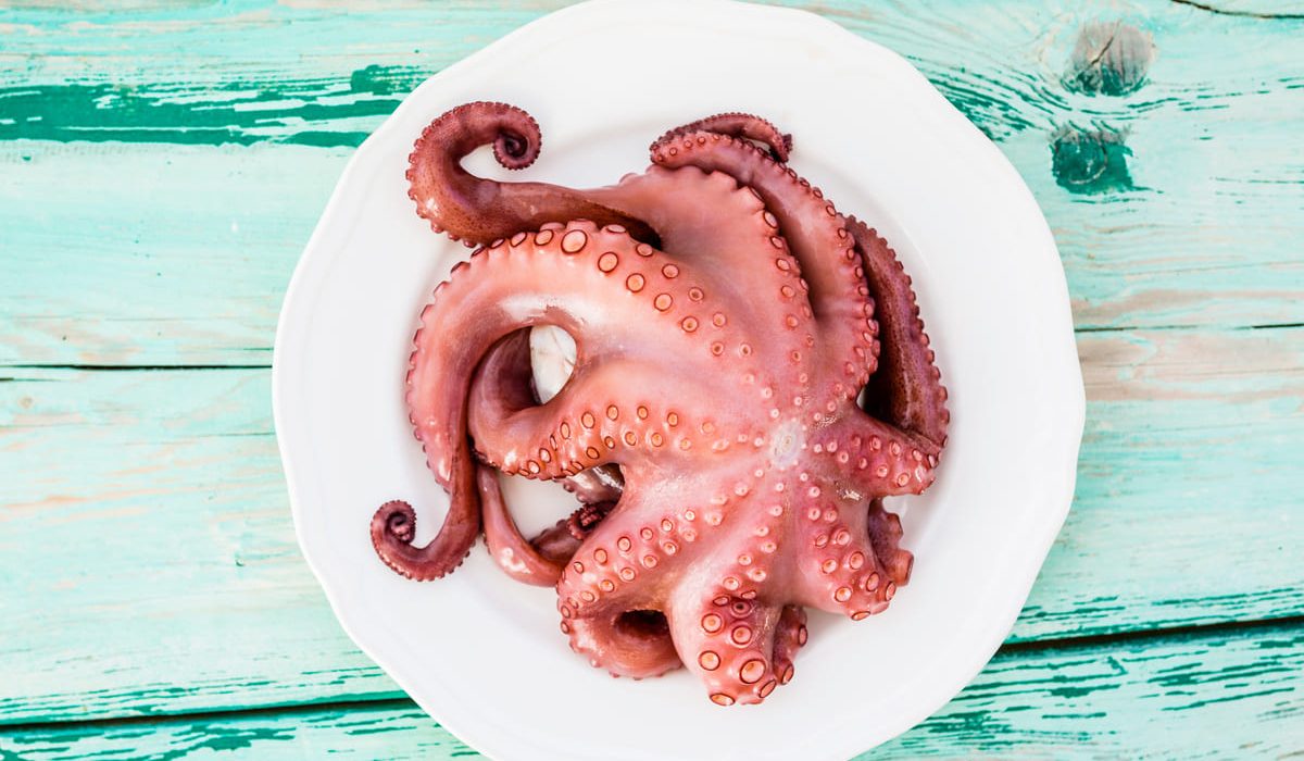 comer pulpo durante el embarazo