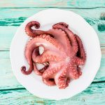 comer pulpo durante el embarazo