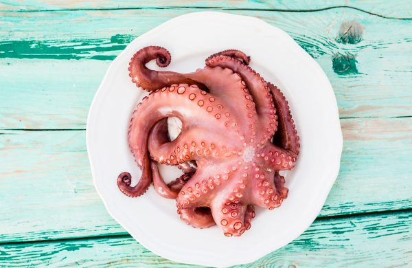 comer pulpo durante el embarazo