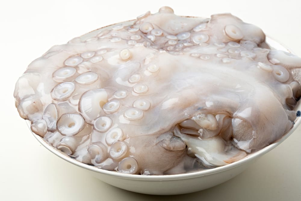 pulpo descongelado