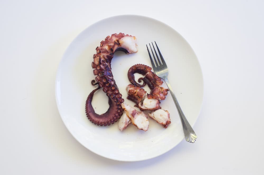 beneficios del pulpo en embarazadas