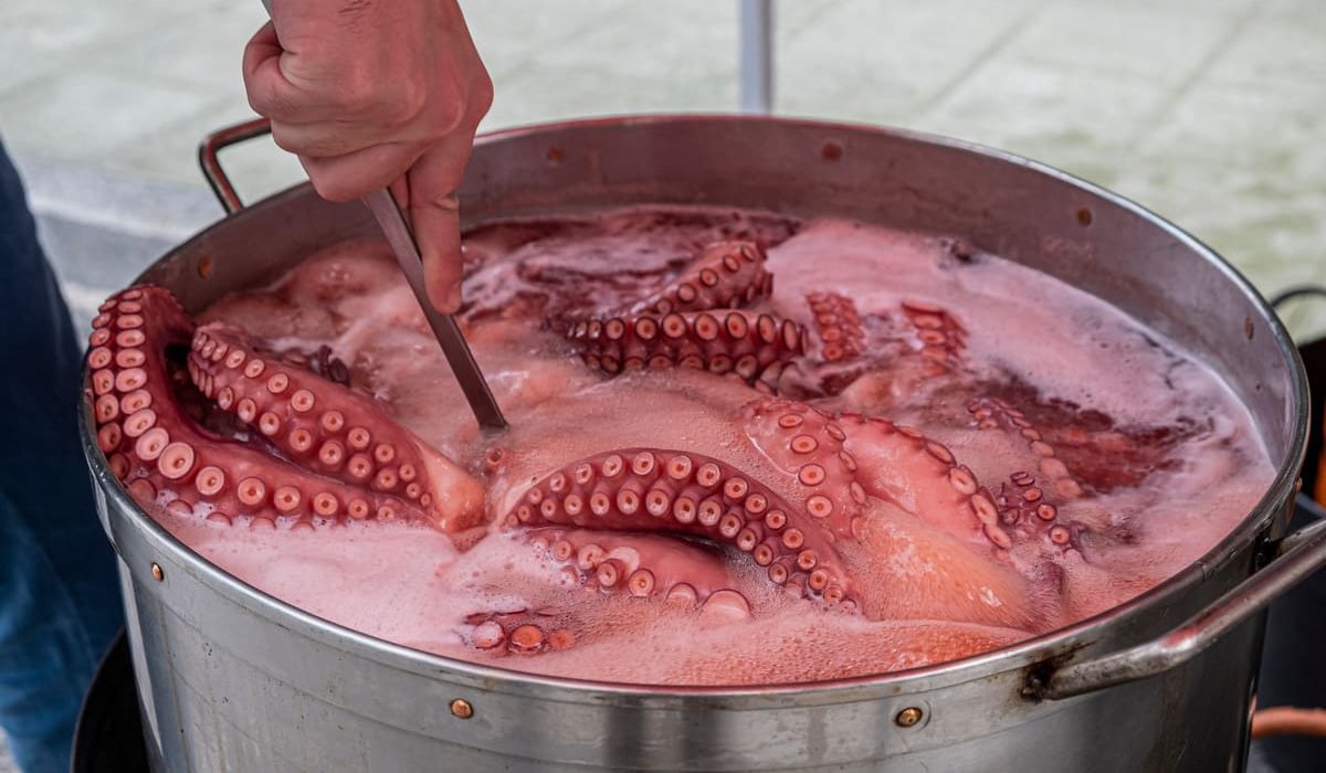 diferencias pulpo a feira y a la gallega