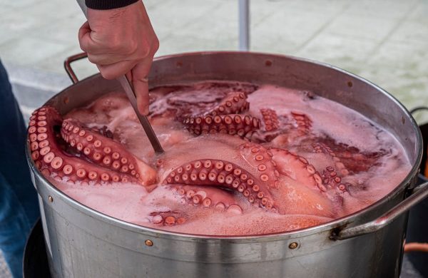 diferencias pulpo a feira y a la gallega