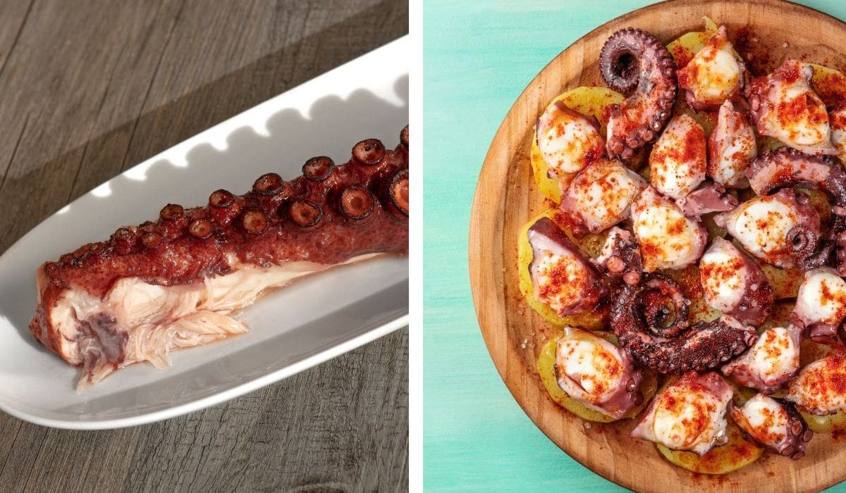 diferencias pulpo a la murciana frente pulpo a la gallega