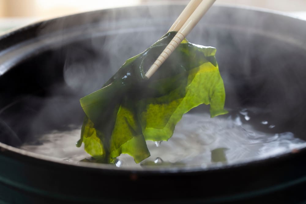 algas y salud digestiva