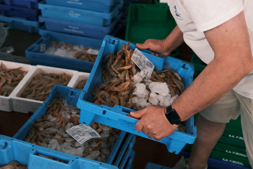 cómo funciona una lonja