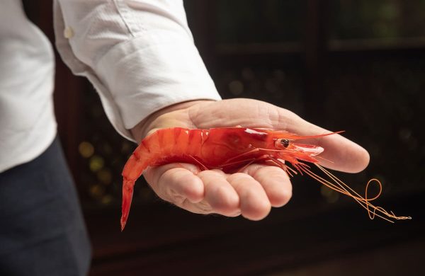 cuánto pesa una gamba