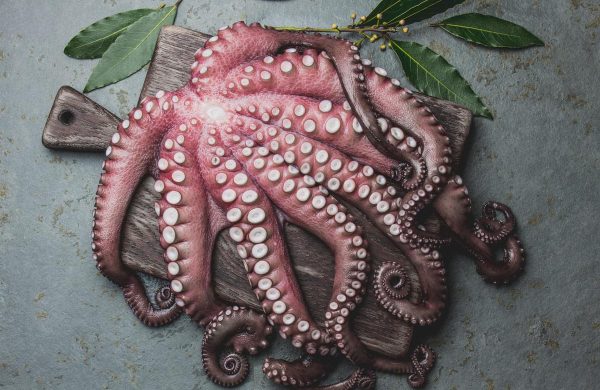 cuánto pesa un pulpo