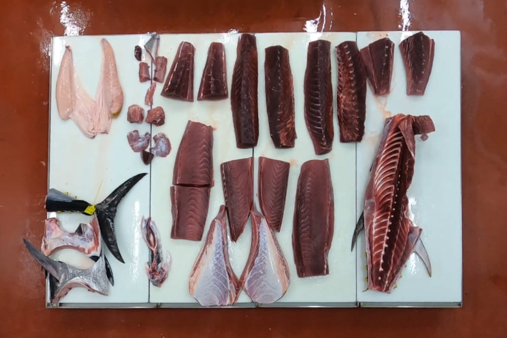 despiece del atún rojo