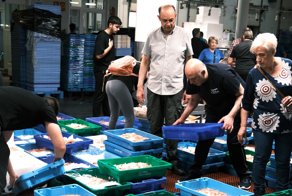 diferencias entre lonja y subasta de pescado